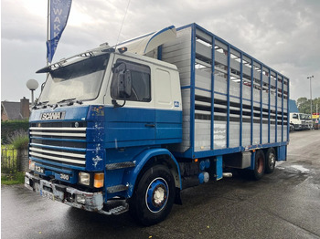 Грузовик для перевозки животных SCANIA R113