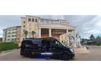 Микроавтобус MERCEDES-BENZ Sprinter 319