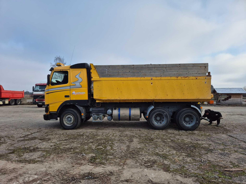 Самосвал Volvo Fh12.460: фото 7